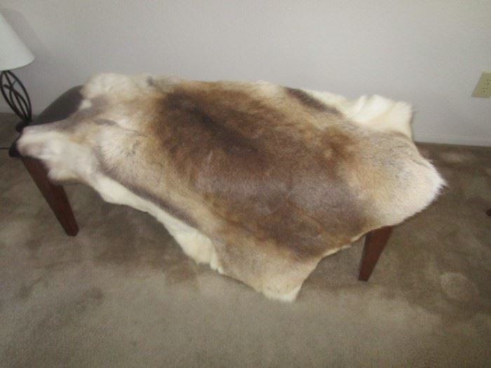 Elk skin, being sold by the hunter original owner; a gorgeous rug or decor
