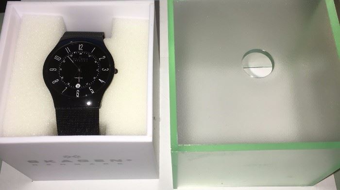 Never worn SKAGEN DENMARK watch in original packaging