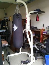 Century excercise punching bags