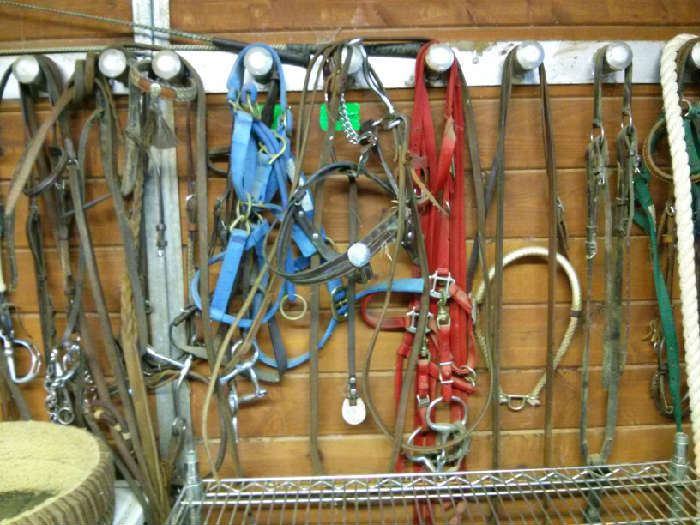 Equestrian horse tack: bridles, halters, ropes, etc.