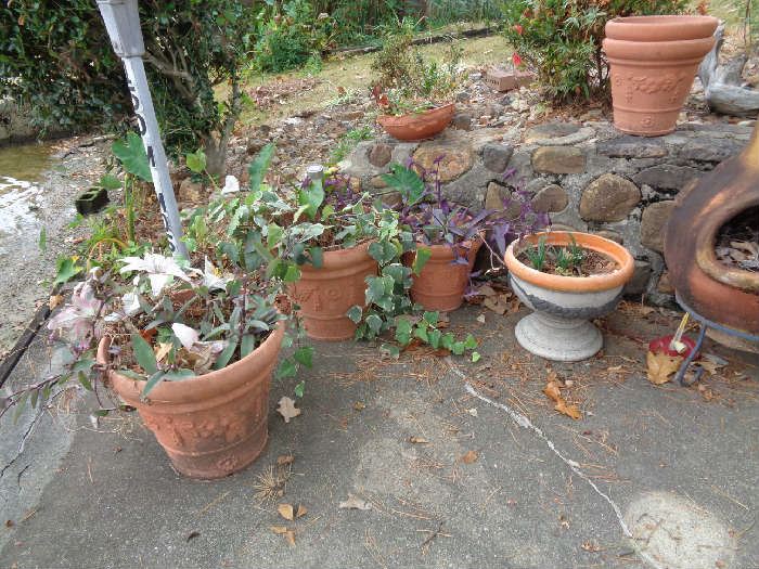 pots & plants
