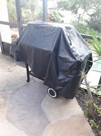 Like New weber gas grill 