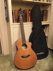 Breedlove guitar with case