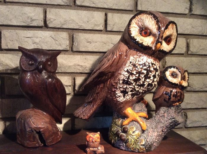 The Owls are waiting for the collector