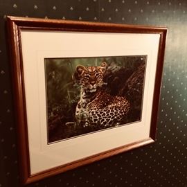 Picture has great depth