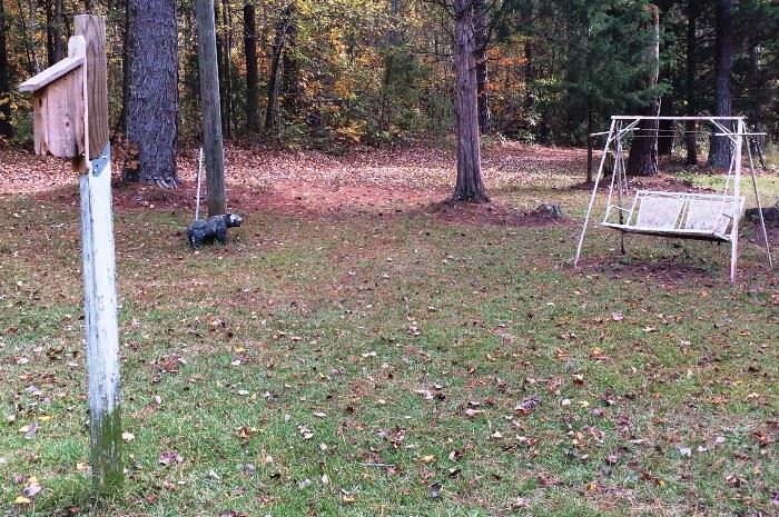 Outdoor Swing, Small Concrete Bear Figure, Birdhouse (feeders, plant stands, etc. not pictured)