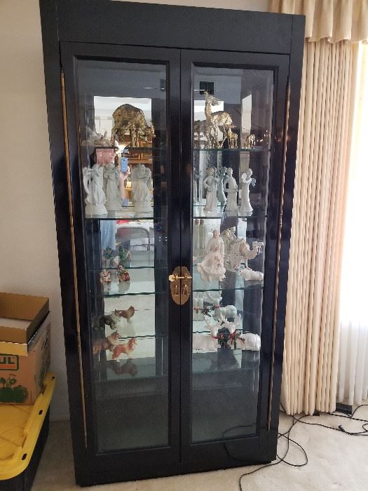 Gorgeous Display Cabinet