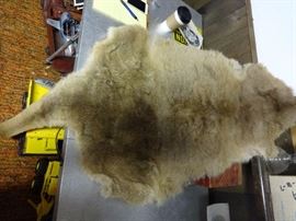 Kangaroo fur