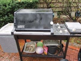 WEBER GRILL