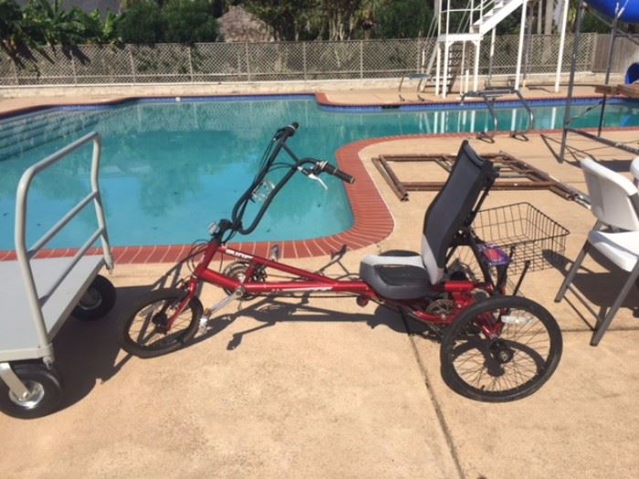 Recumbent Bicycle