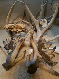 Gorgeous antlers! These are always so quite quickly so get there on the first day if you’re interested