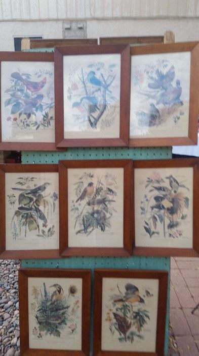Arthur Singer Bird Prints 1-8