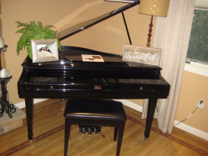 WEBER WSG930 DIGITAL PIANO