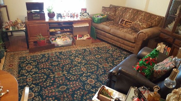 pretty rug and cute small sofa