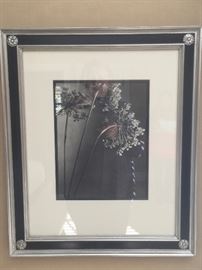 B & W Photo Of Flowers in Black/Silver Frame (19" x 23")