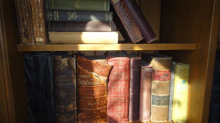 Antique leather bound books 