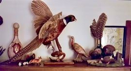 Taxidermy & Figurines