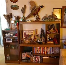 Hunting VHS Tapes & More