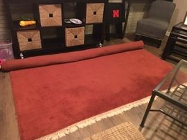 Large rust area rug