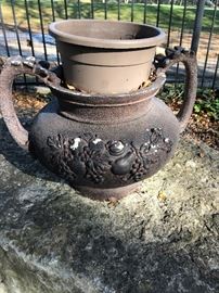 Pots and Plants Everywhere