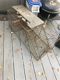 Huge Raccoon Trap