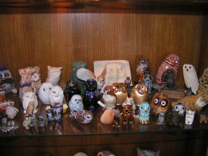 and more Owls