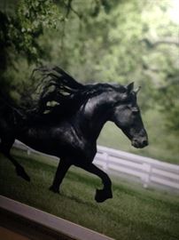 Another one of the equestrian framed art selections - black Friesian horse