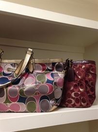 Coach purses
