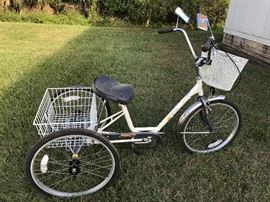 Adult Tri-Cycle