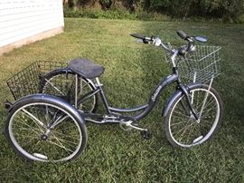 Schwinn adult tri-cycle