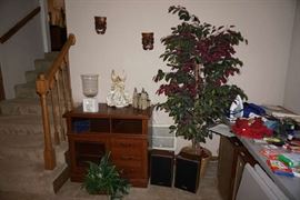 TV stand, Panasonic and Pioneer speakers, games