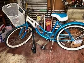 Schwann Legacy Bicycle