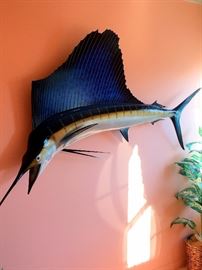 Mounted Fish  - Replica Sail Fish