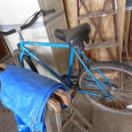 adult bicycle