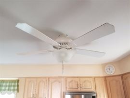Ceiling fans throughout house; some with lights