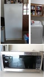 Upright Freezer, stainless microwave. Amana Dryer