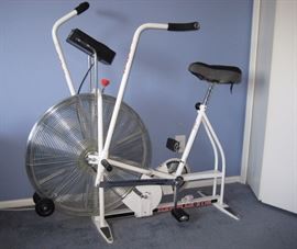 Schwinn Air Dyne 