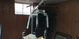 Marcy Home Gym