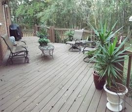 Outdoor Items, Plants and More