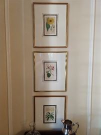 Set/6 hand colored, nicely framed/matted English botanicals, by J. Ridgeway, of 170 Piccadilly - 1821; each print measures 16" x 21".