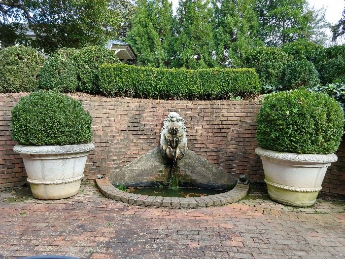 Pair of huge concrete planters, with mature boxwoods. The planters measure 42" diameter x 30" tall.