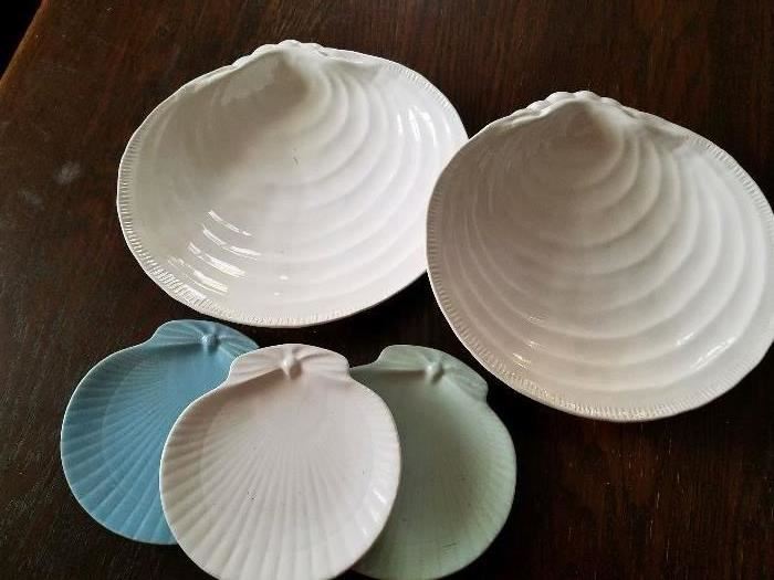 Shell dishes