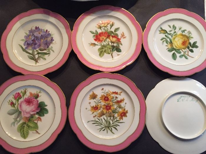 Wildflower porcelain plates - set of 12 unique plates with pink trim.