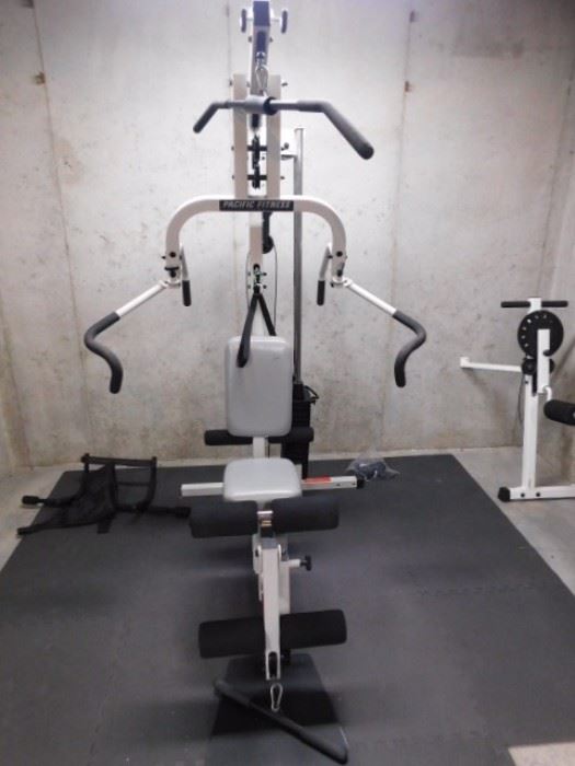 Pacific Fitness Zuma workout weight machine