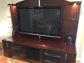 Panasonic Viesa TV with JSP Industries Stand