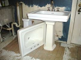 Everything is for sale....even the KITCHEN SINK.