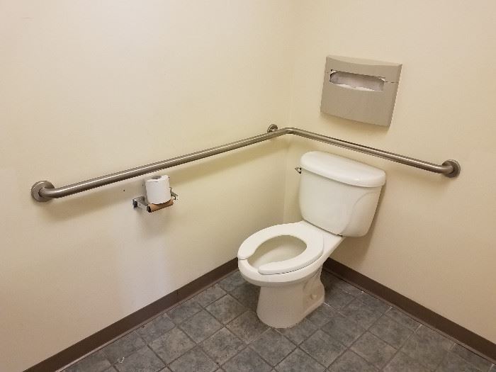 Toilet and Handrails