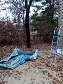 Pool and pool ladder