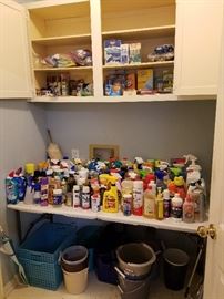 lots of cleaners, buckets, etc