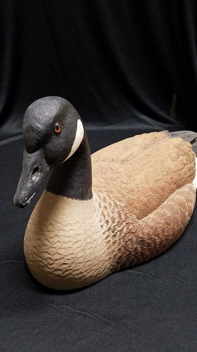 Canadian Goose decoy